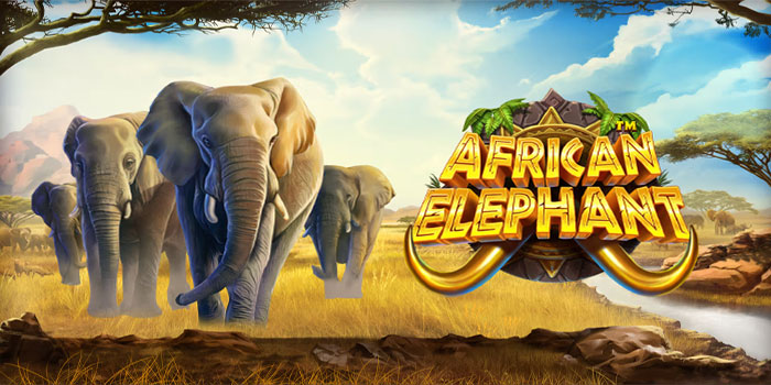 Rahasia dan Strategi untuk Meraih Jackpot di slot african Elephant